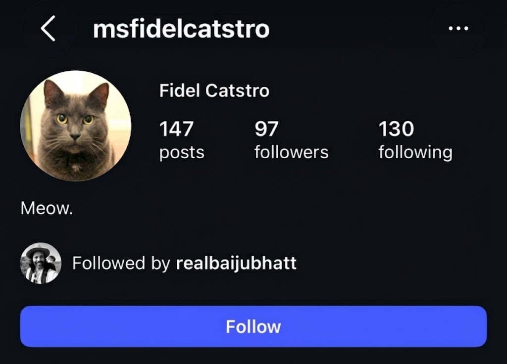 Instagram profile of msfidelcatstro, followed by realbaijubhatt