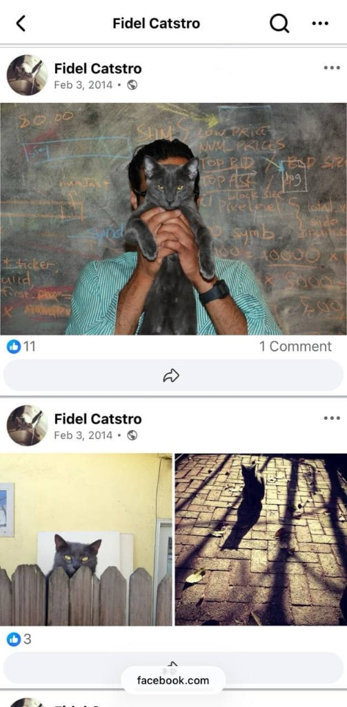 Facebook post from Fidel Catstro's profile, February 3 2014