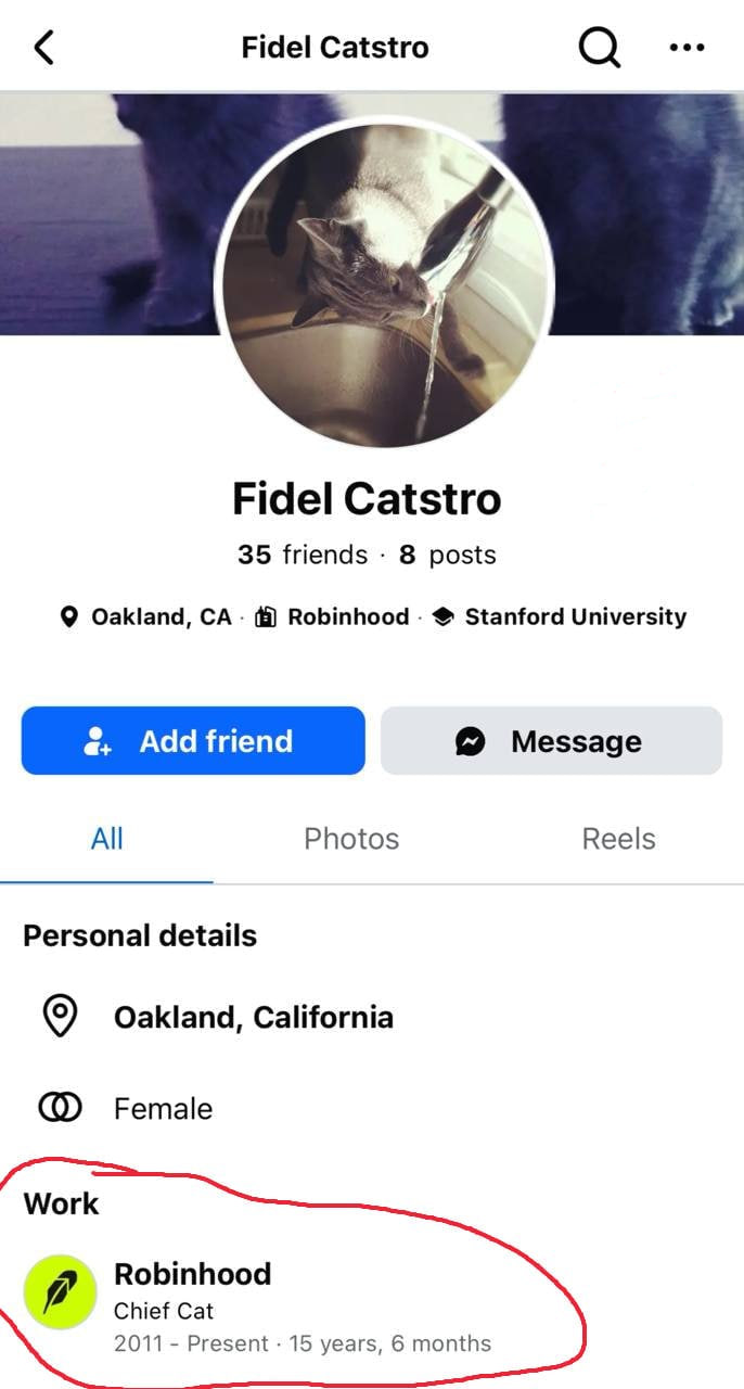 Facebook Work section listing Chief Cat at Robinhood since 2011
