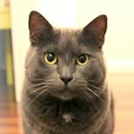 Fidel Catstro profile portrait