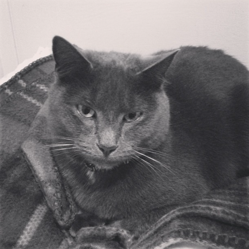 Close-up portrait of Fidel Catstro
